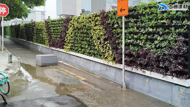 深圳高檔綠植圍擋-新型高端綠植圍擋 工程案例